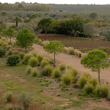 Masseria Palaci By Li Palaci Torre Pali